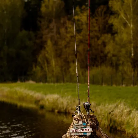 Harmony * Jelgava
